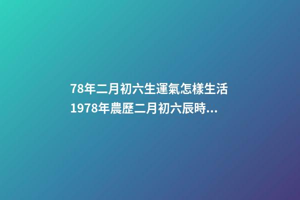 78年二月初六生運氣怎樣生活 1978年農歷二月初六辰時出生人的運勢-第1張-觀點-玄機派